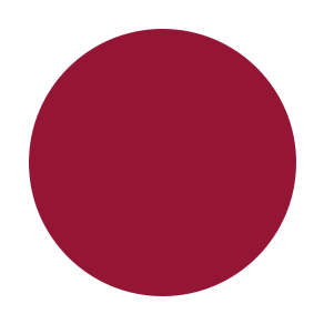 802 VALIDATE Liquid Velvet Lipstick shade